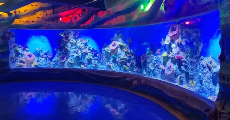 Aquarium Aquaculture Filtration Equipment