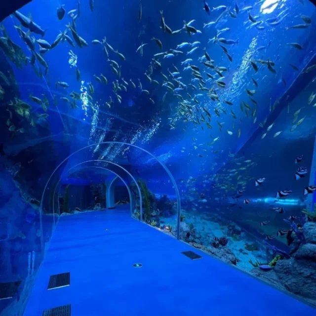 Aquarium tunnel display