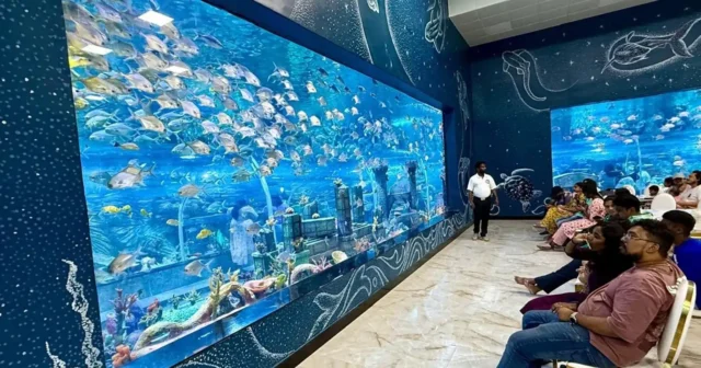 Aquarium display with aquatic life