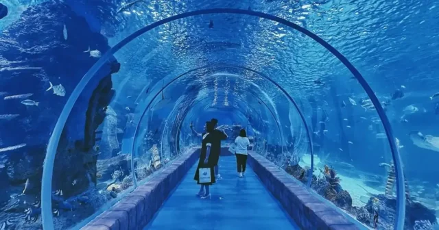 Underwater view through an aquarium tunnel